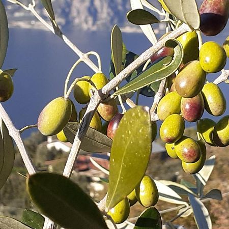 Appartamento Leccino Malcesine Buitenkant foto