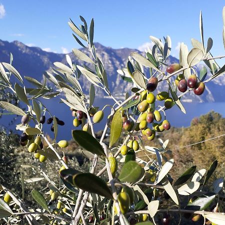 Appartamento Leccino Malcesine Buitenkant foto