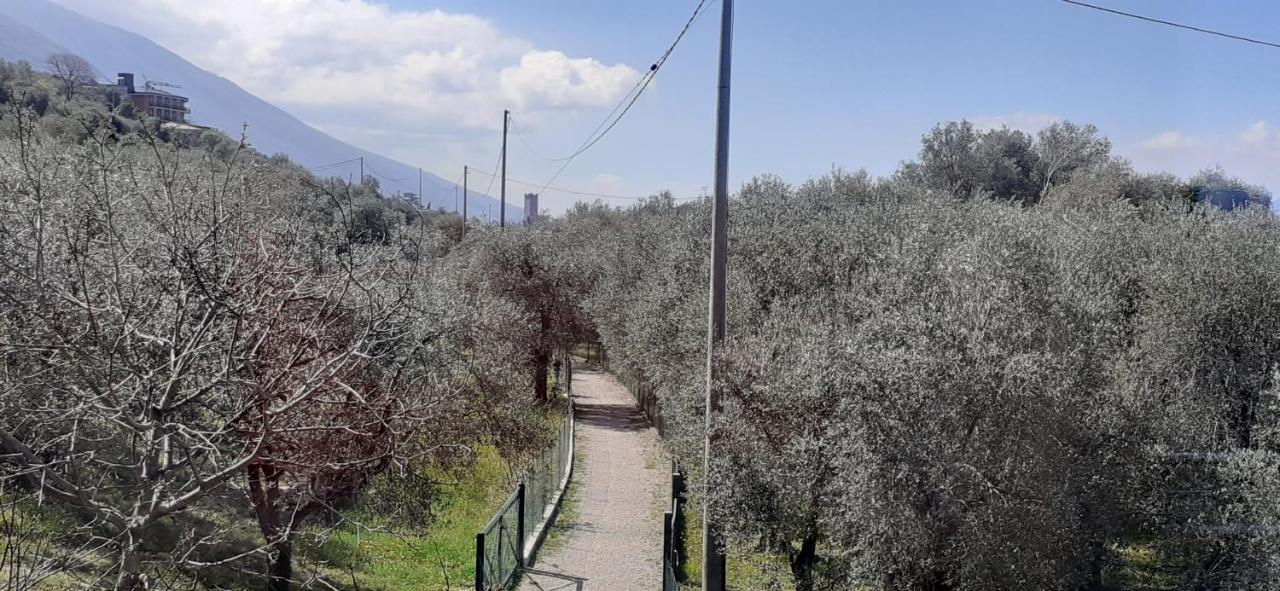 Appartamento Leccino Malcesine Buitenkant foto