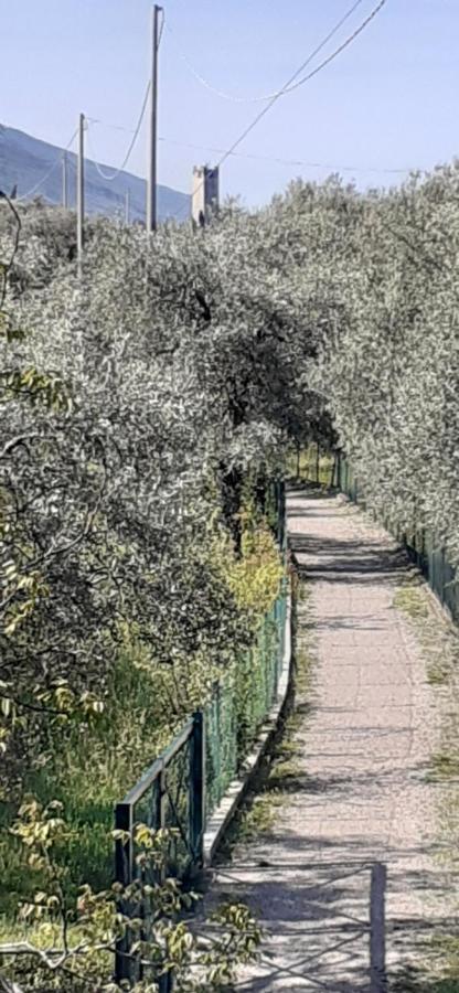 Appartamento Leccino Malcesine Buitenkant foto