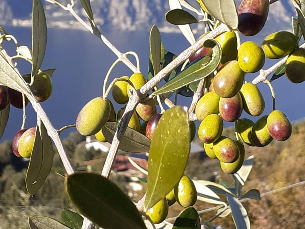 Appartamento Leccino Malcesine Buitenkant foto
