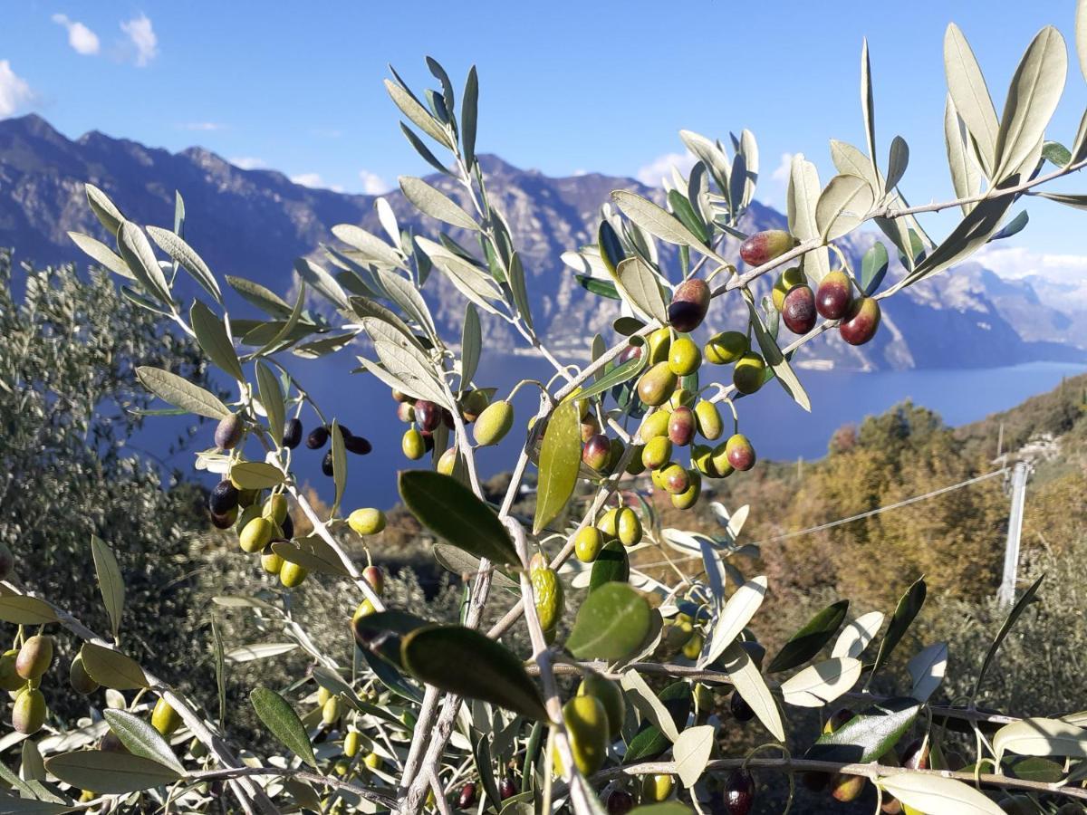 Appartamento Leccino Malcesine Buitenkant foto