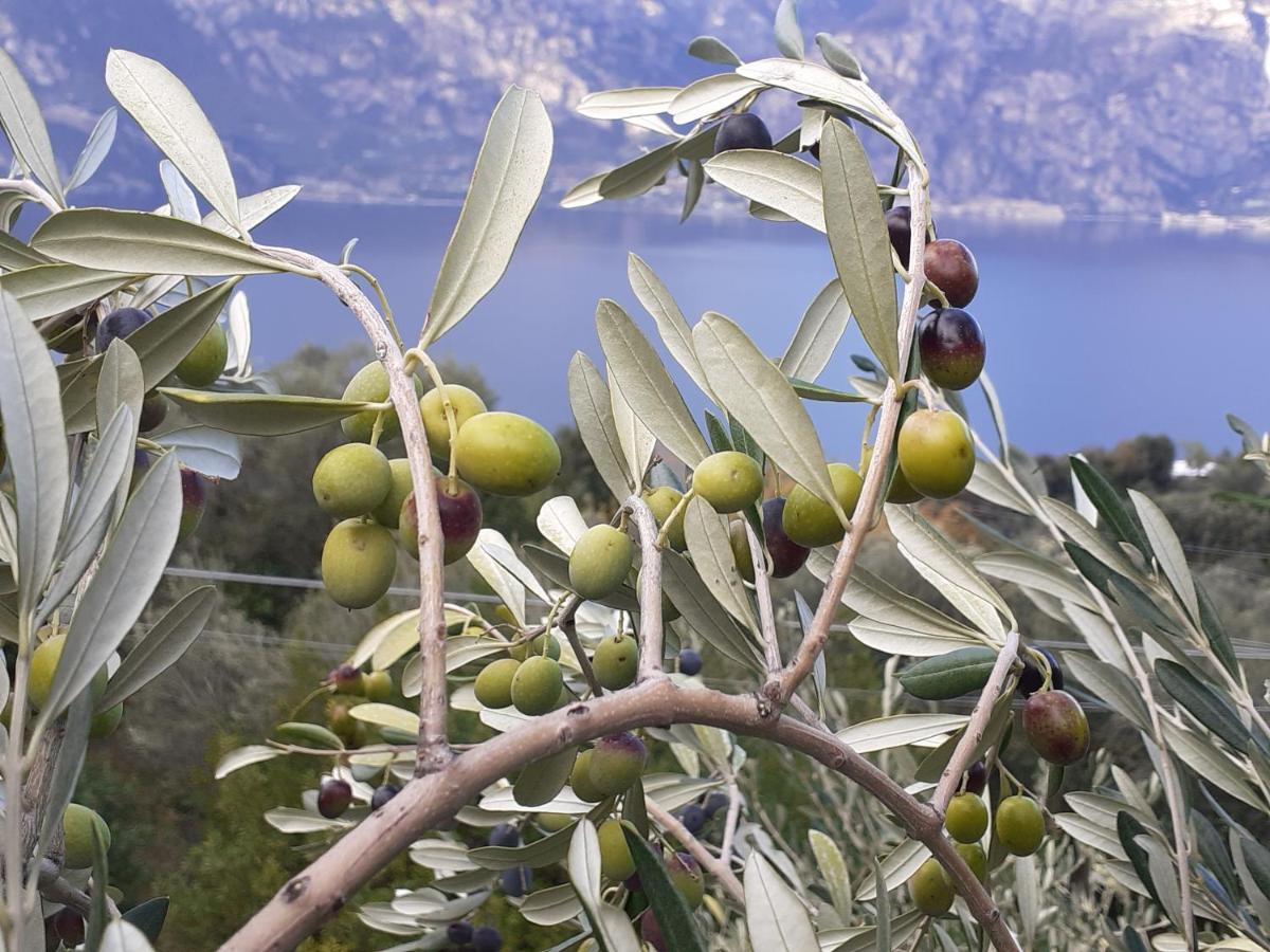 Appartamento Leccino Malcesine Buitenkant foto