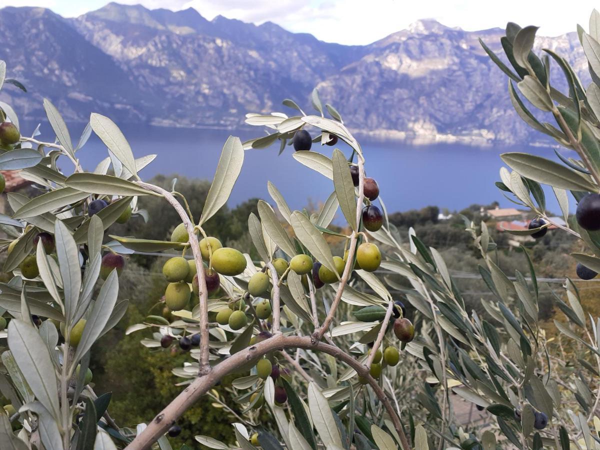 Appartamento Leccino Malcesine Buitenkant foto